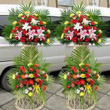 ƶʻԤ
