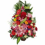 ƶʻٵ
